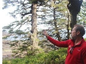 Oyster Jim Martin on the Wild Pacific Trail that he built in Ucluelet, B.C.