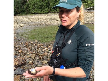 Parks Canada ecologist Jennifer Yakymishin shows off an Olympic oyster, one of the small native species found on beaches in the Broken Group of islands in Barkley Sound south of Ucluelet. She's monitoring the health of coast ecosystems like eelgrass beds being studied in an international project to map, measure and evaluate the capacity of seagrass meadows and salt marshes to capture and store atmospheric carbon.