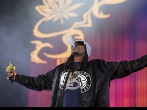 American rapper Snoop Dogg headlines at the Pemberton Stage at the Pemberton Music Festival.