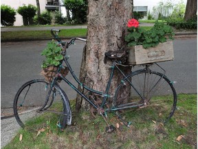A bicycle as garden on the 100 block of West 10th Avenue.