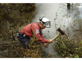 Bogs that have been drained in the past to harvest the peat for horticultural use and fuel — as the Burns Bog was — are more susceptible to fire, says McMaster professor of geography and earth sciences Mike Waddington.