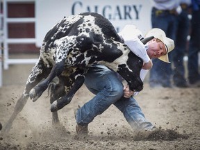 Steer wrestling at the Calgary Stampede.