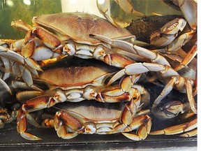 Dungeness crabs.