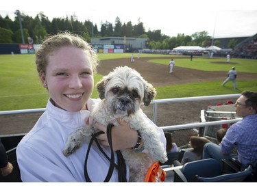The Annual Dog Day of Summer took place at Vancouver's Nat Bailey Stadium Monday night where baseball fans got to take their K-9 pets, of all sizes,  during the Vancouver Canadians game against the Tri - City Dust Devils on July 11, 2016.   Here Oreo poses with Olivia Nobes.