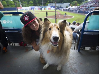The Annual Dog Day of Summer took place at Vancouver's Nat Bailey Stadium Monday night where baseball fans got to take their K-9 pets, of all sizes,  during the Vancouver Canadians game against the Tri - City Dust Devils on July 11, 2016.   Here fan Laurenne poses with "Cousteau" near home base.