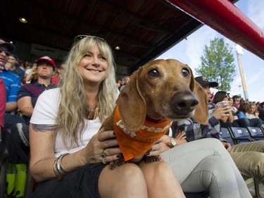 The Annual Dog Day of Summer took place at Vancouver's Nat Bailey Stadium Monday night where baseball fans got to take their K-9 pets, of all sizes,  during the Vancouver Canadians game against the Tri - City Dust Devils on July 11, 2016.