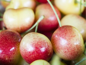 File: Cherries for sale at David Lam park, Vancouver June 22 2016.