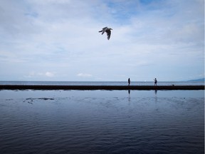 A dead body was pulled out of the water near Wreck Beach on Monday afternoon.