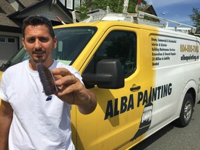 Zenny Cepele, the owner and general manager of B.C.-based Alba Painting — which does all types of projects around the home besides paint — has the highest possible grade from the Better Business Bureau and is fully insured and bonded.