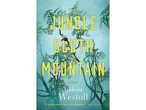 The Jungle South of the Mountain by Andrew Westoll.