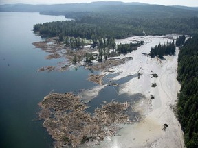 An aerial view shows the debris going into Quesnel Lake caused by a tailings-pond breach near the town of Likely on Aug. 5, 2014.