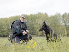 Nanaimo RCMP Const. Clay Wurzinger and police dog Boomer had been searching unsuccessfully for a missing Chemainus senior for five hours. Suddenly, however, they spotted 67-year-old Irene Paquet at the base of a berm — three kilometres from where her white Hyundai Accent was discovered.