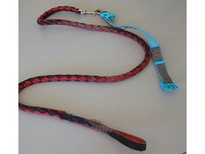 The blue and grey collar and red and black leash found on a boxer-cross that was tossed in a Coquitlam dumpster on July 26.