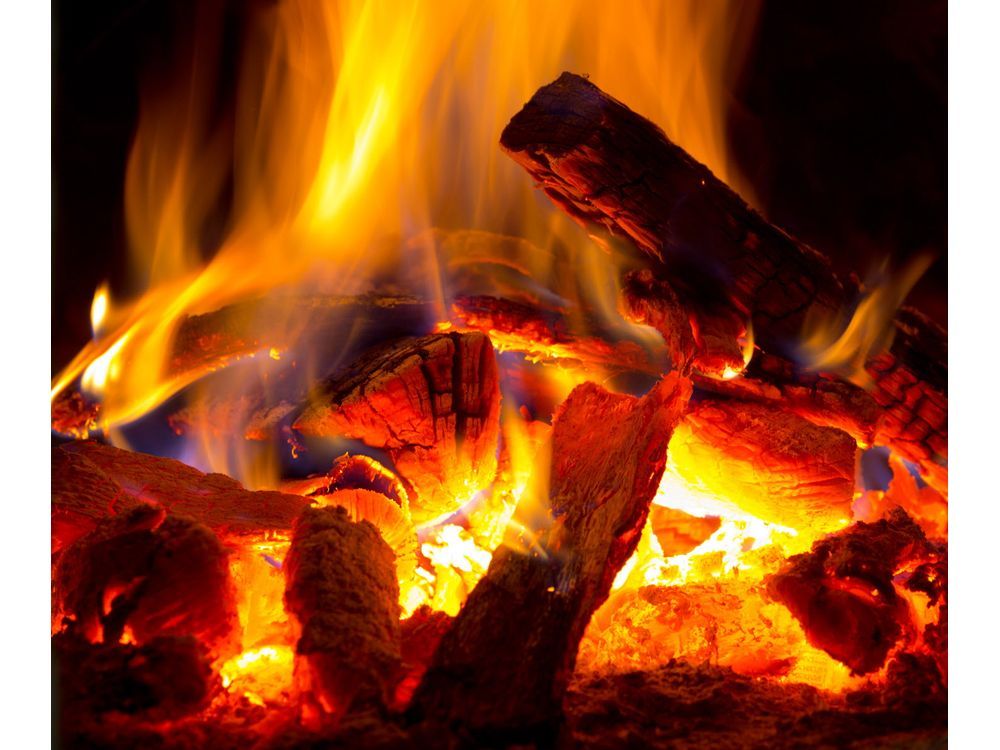 Campfires To Be Banned In Most Parts Of The Coastal Fire Centre ...