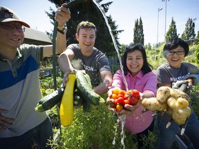 Vegetables held by Jason Kenyon, Suchitra Barve and Yuh-Lin Ni (left to right) of the gardening group Plots to Plates get a hosing down in Richmond this week. Kenyon has been lauded as a community hero for initiating Plots to Plates, which has grown and donated produce for the Richmond Food Bank for the past three years.