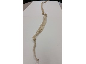 The skin recovered from a Victoria storm drain indicated a possible corn snake, about five feet long.