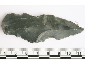 A blade, positive for rhino residue, is shown in this undated handout photo.