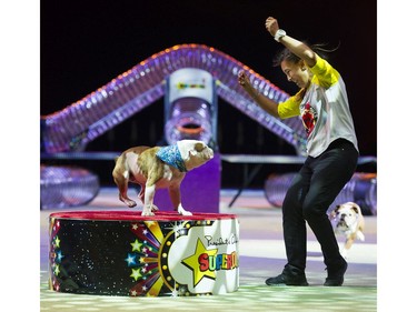 The Superdogs show at 2016 Fair at thePNE Vancouver, August 20 2016.