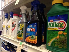 The Canadian Association of Physicians for the Environment says B.C. has fallen behind most of Canada by not banning all cosmetic pesticide use.
