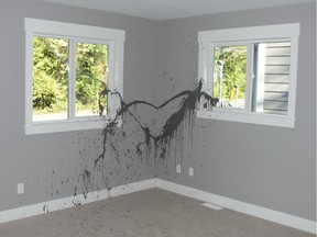 Vandals in North Vancouver dumped more than 15 cans of paint inside a soon-to-be-completed new home.