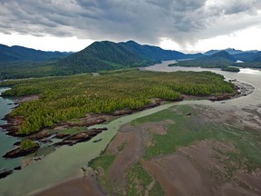 Looking across Flora Bank at low tide to the Pacific Northwest LNG site on Lelu Island, in the Skeena River Estuary near Prince Rupert.