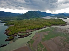 Looking across Flora Bank at low tide to the Pacific NorthWest LNG site on Lelu Island, in the Skeena River Estuary near Prince Rupert.