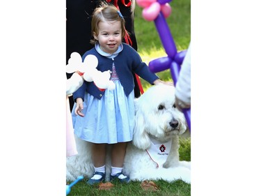 Princess Charlotte of Cambridge plays with a dog at a children's party for Military families during the Royal Tour of Canada on September 29, 2016 in Victoria, Canada.