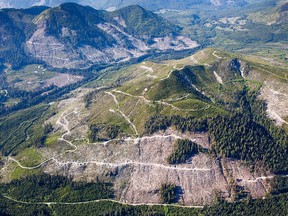An aerial view of old-growth clearcutting in the Klanawa Valley on southwestern Vancouver Island. Conservationists are celebrating as members of the Union of B.C. Municipalities has passed a resolution at their AGM calling on the B.C. government to amend the 1994 Vancouver Island Land Use Plan to protect the Island's remaining old-growth forests. TJ Watt/Ancient Forest Alliance