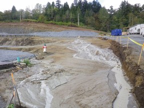 Burnaby streamkeeper John Preissl took photos Friday at the Eastlake Campus construction site. He is worried that heavy sediment and debris running into Silver Creek will suffocate fish and harm a sensitive ecosystem.