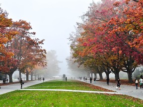 Tuesday's weather will be foggy to start but the sun will peek through at some point.