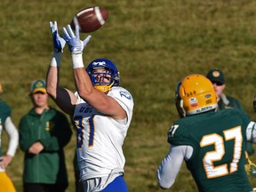UBC Thunderbirds Marshall Cook (81) makes the catch and runs it in for a touchdown against the University of Alberta Golden Bears.