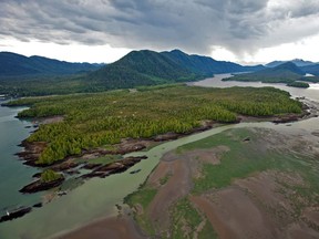 Looking across Flora Bank at low tide to the Pacific Northwest LNG site on Lelu Island, in the Skeena River Estuary near Prince Rupert. [PNG Merlin Archive]