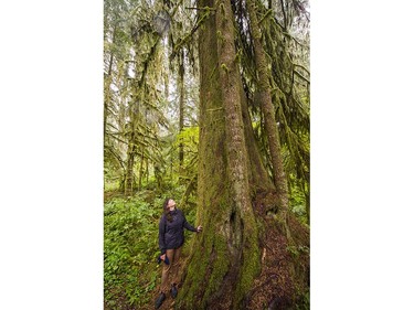 Erica Forssman, Watershed Education Coordinator, in old growth forest in the Lower Seymour Conservation area in North Vancouver, BC., August 31, 2016.