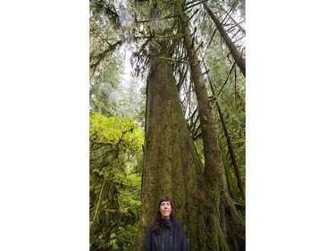 Erica Forssman, Watershed Education Coordinator,  stands in front of an old cedar tree in the old growth forest in the Lower Seymour Conservation area in North Vancouver, BC., August 31, 2016.
