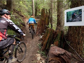 Photographer Euan Forrester documented the construction of a mountain bike trail on Mount Seymour. An art installation of his photos, called Evidence of Trail Fairies, is posted on the Good Sir Martin and Penny Lane climbing trails.