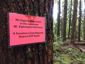 Small signs of protest are mounted throughout the forest surrounding the location of a controversial logging site on the Sunshine Coast.