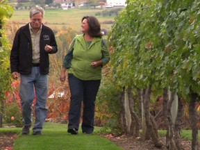 The greening of B.C. wineries: Kenn and Sandra Oldfield at the Tinhorn Creek Winery near Oliver. Kenn is chairman of the winery board, Sandra is the winemaker.