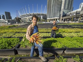Michael Ableman with Alain Guy (background) at the False Creek Sole Food farm in downtown Vancouver.