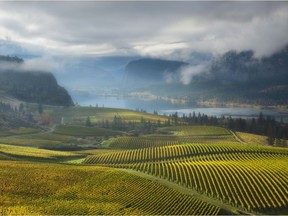 The B.C. Wine Appreciation Society will pour a dozen favourites from a recent harvest trip to the Okanagan (pictured) and Similkameen valleys on Oct. 7.