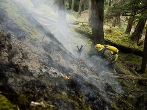 A campfire ban for B.C.'s South Coast has been lifted as of Tuesday at noon, following several days of rain.