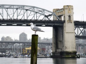 The Burrard Bridge in Vancouver was closed to northbound traffic for several hours Wednesday due to a fuel spill.