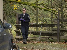 Forensic teams work on a large rural property where human remains were found.