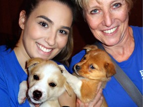 Alena Grabb and Sarah Pennington cuddled husky-shepherd pups Champagne and Boots at the B.C. SPCA's $360,000 Unleashed gala.