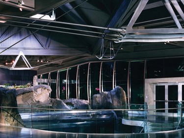 Pacific Canada Pavilion at Vancouver Aquarium |
Enclosing an existing U-shaped courtyard, the pavilion houses a grand room overlooking the lower-level pool, exhibition areas and a gift shop. The pavilion was completed in 1999.'