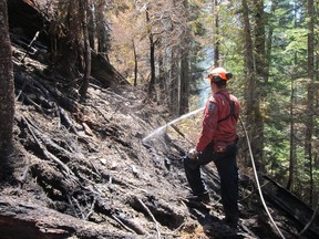 Firefighter at work in B.C. forests.