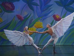 In Moscow Ballet's Great Russian Nutcracker, coming to the Queen Elizabeth Theatre Nov 13, two dancers create a Dove of Peace.