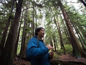 Ken Wu, of the Ancient Forest Alliance, speaks to a group of educational tour guides during training for Chinese-language ancient forest tours, at Stanley Park in Vancouver on Saturday, October 22, 2016. Volunteers are being trained to lead old-growth nature walks in Mandarin or Cantonese in the park because there are half a million people in the Lower Mainland who identify their primary language as Chinese, according to organizers. The program aims to help raise the awareness on the ecology and conservation of old-growth forests.