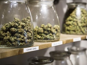 File: Marijuana in jars