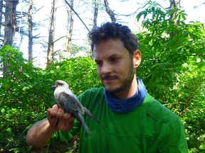 Luke Halpin holding a fork-tailed storm-petrel.