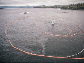 The tugboat Nathan E. Stewart lies submerged at the mouth of the Seaforth Channel near Bella Coola.